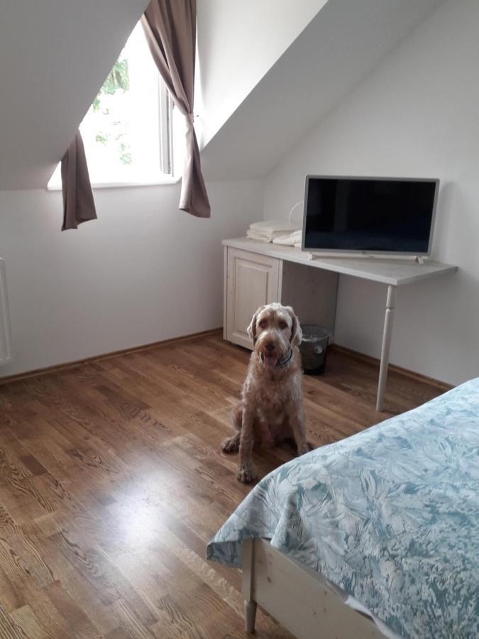 Taplanszentkereszt Rosenberg Kuria B&B 외부 사진